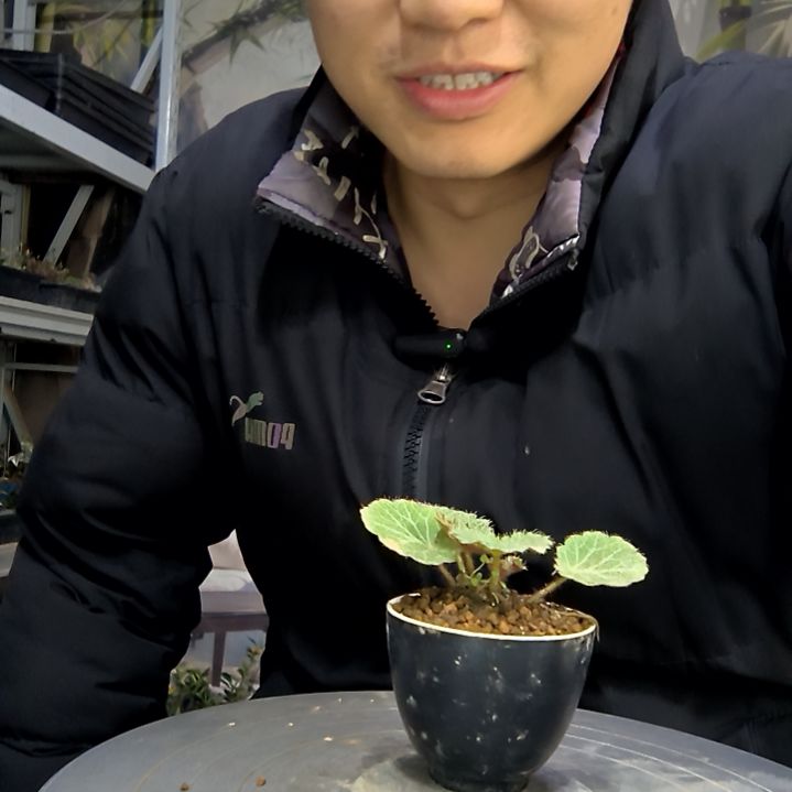 ****i中青园艺一物一拍花414