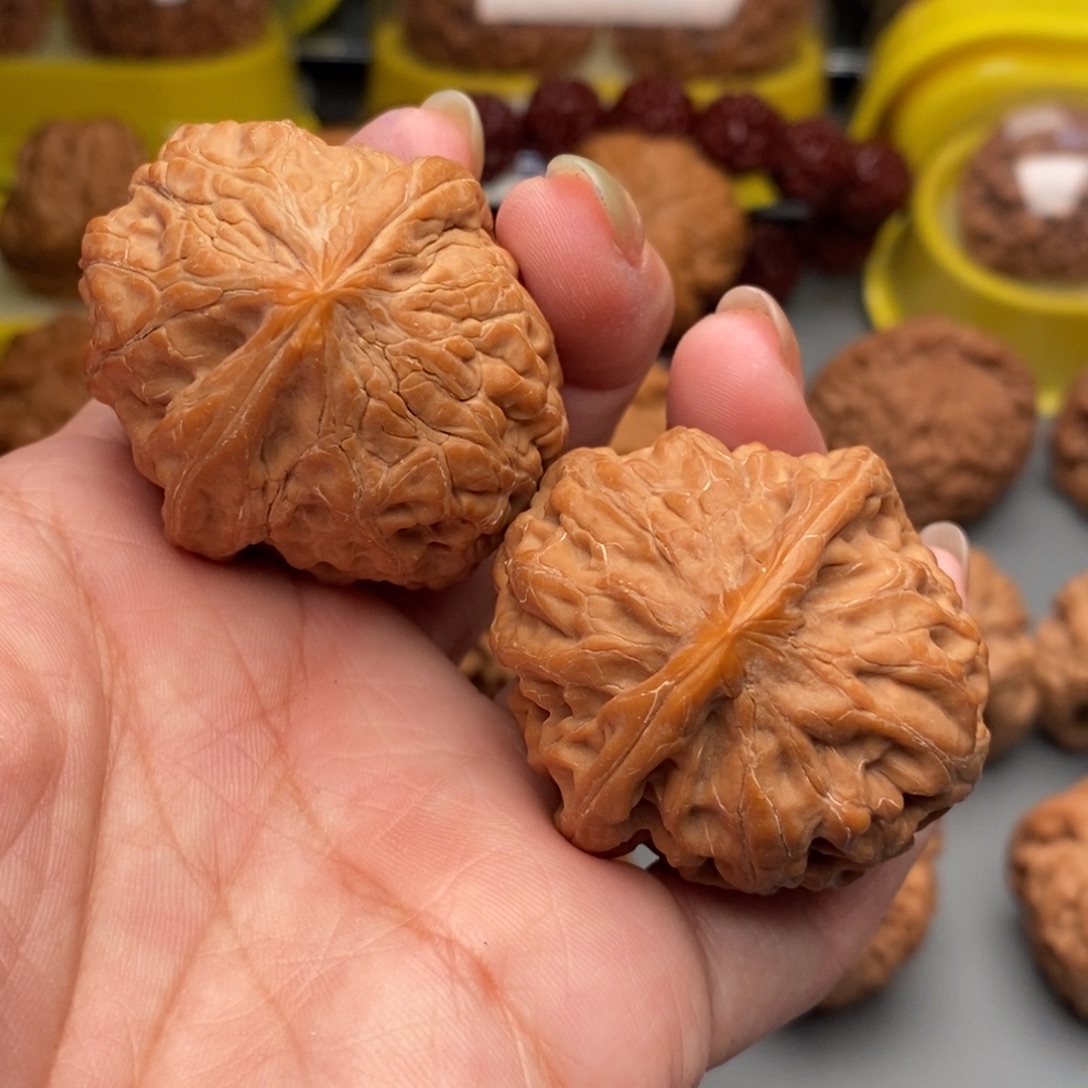 木质类小众黄松峪