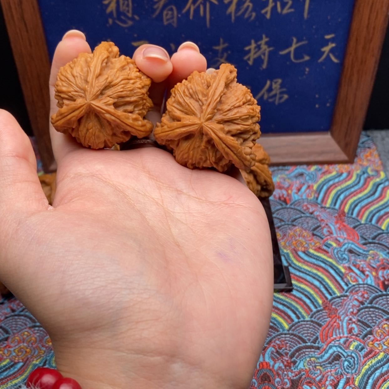 【闪购商品】没****兴白狮