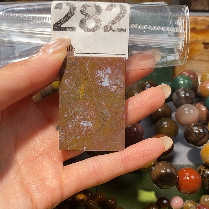 硅化玉未镶嵌天然北票树化玉吊坠