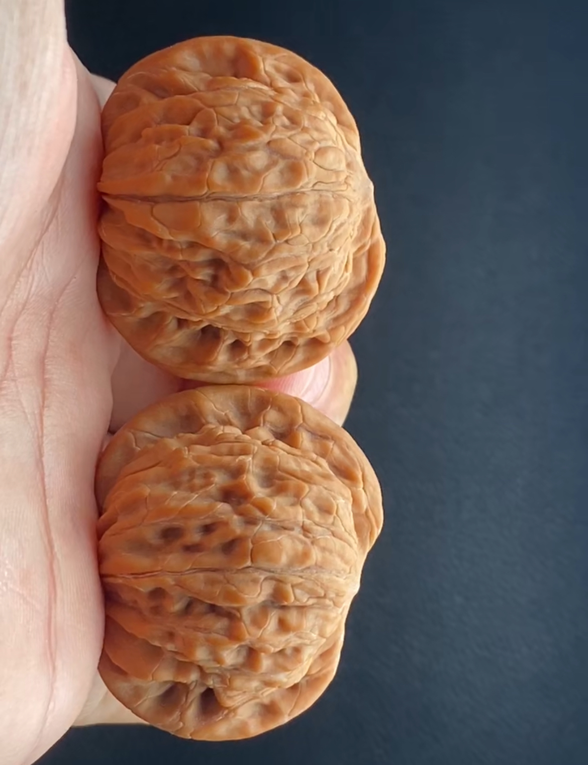 #蝴蝶磨 #歪磨 #扇面磨盘 #磨盘狮子头232-131边39肚36高325全品