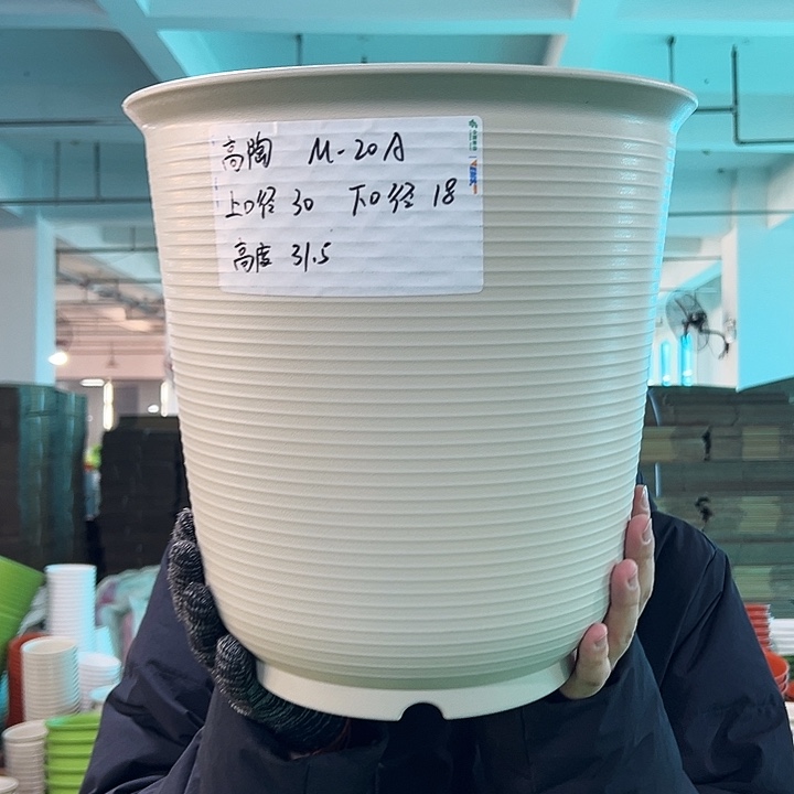 正品高陶口30高31米色无托3只