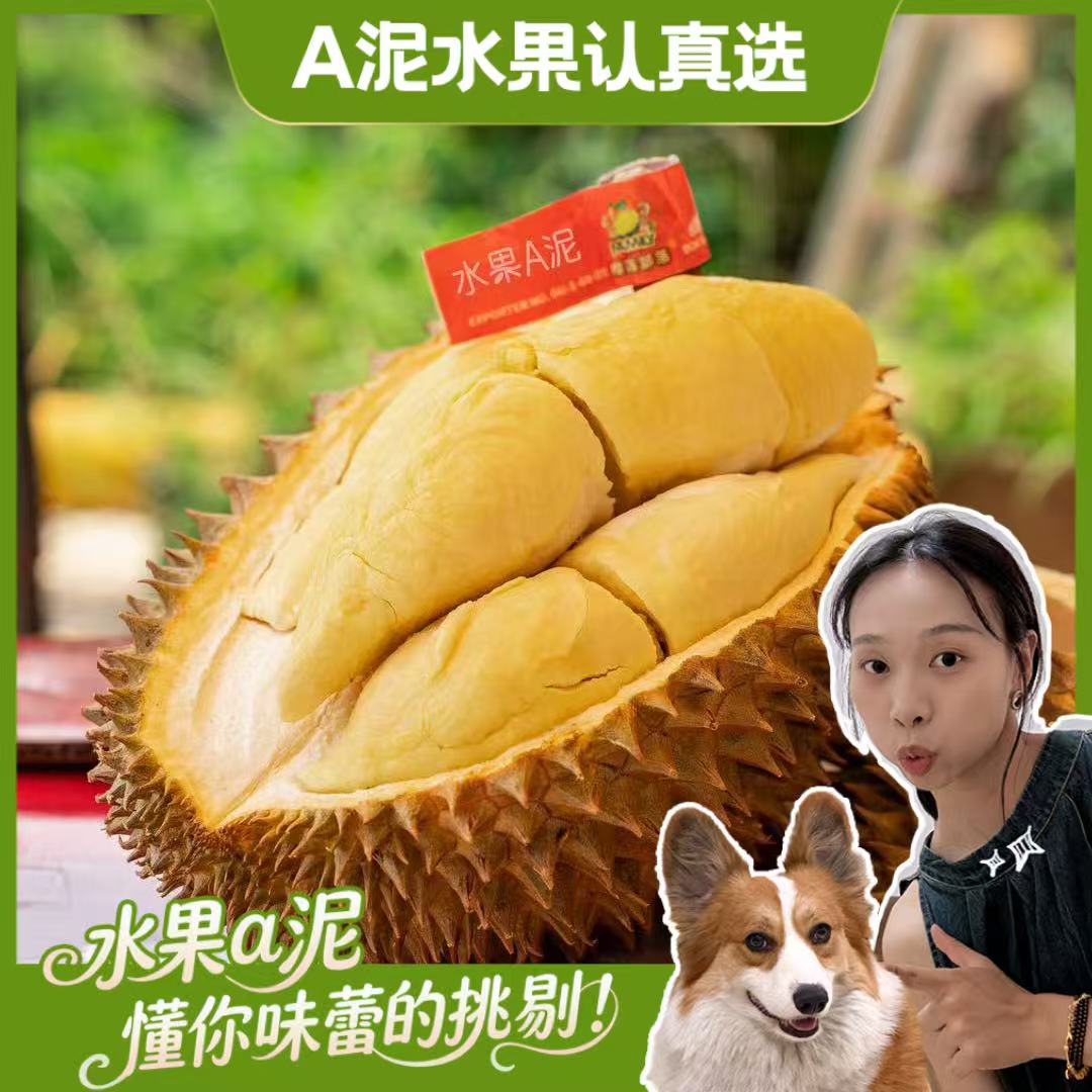 【次日达】【B果】“深林金枕”素可泰 泰国空运北部自然熟鲜榴莲核小3-8斤金枕泰国东部