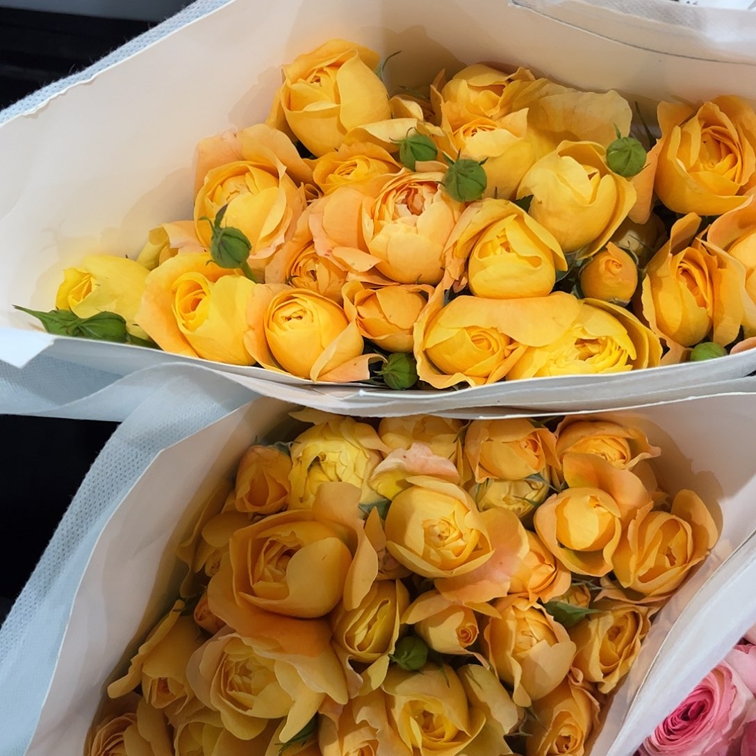 果汁阳台直播间5个包邮