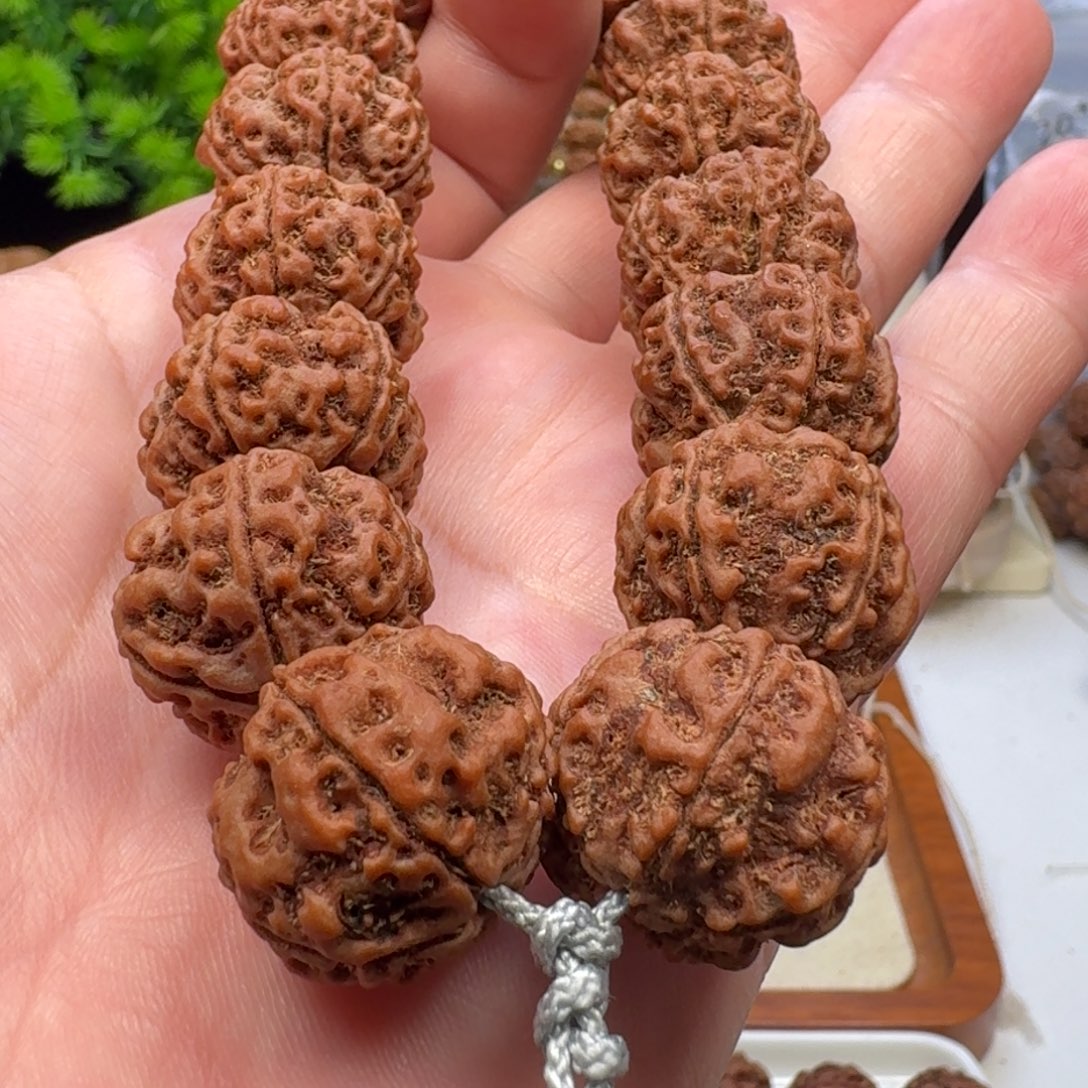 金刚菩提手串蜂窝双龙