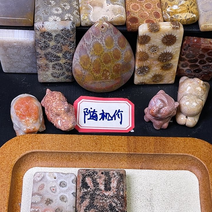 硅化珊瑚（珊瑚玉）珠宝金石合金?****?