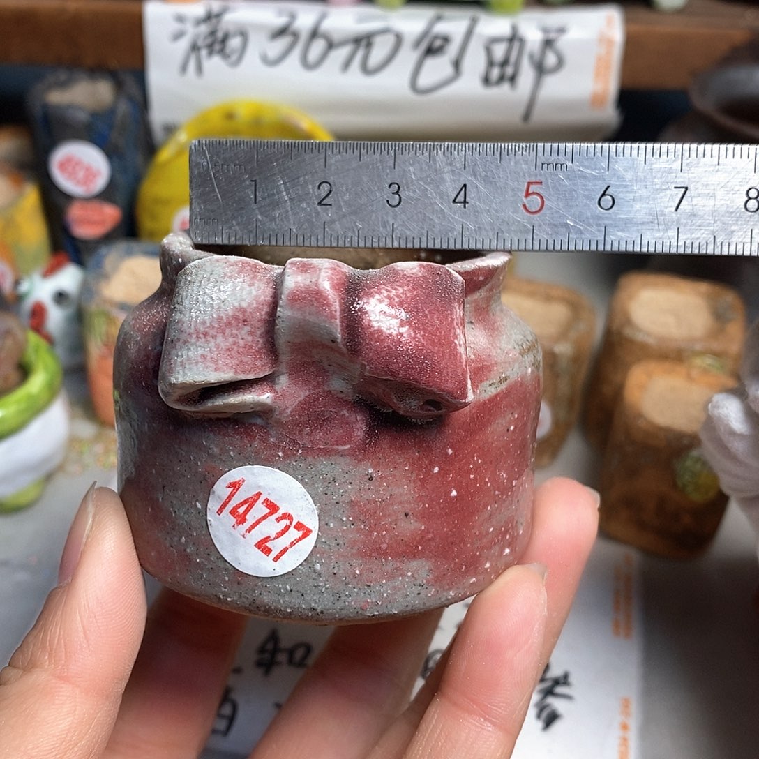 红陶拍5送一个小