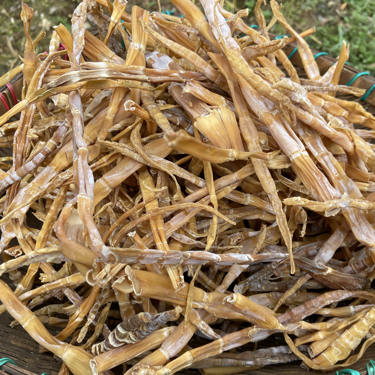 各类干货 野生小竹笋 农家自然风干  炒肉 炖汤