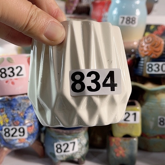 红陶多肉植物花盆