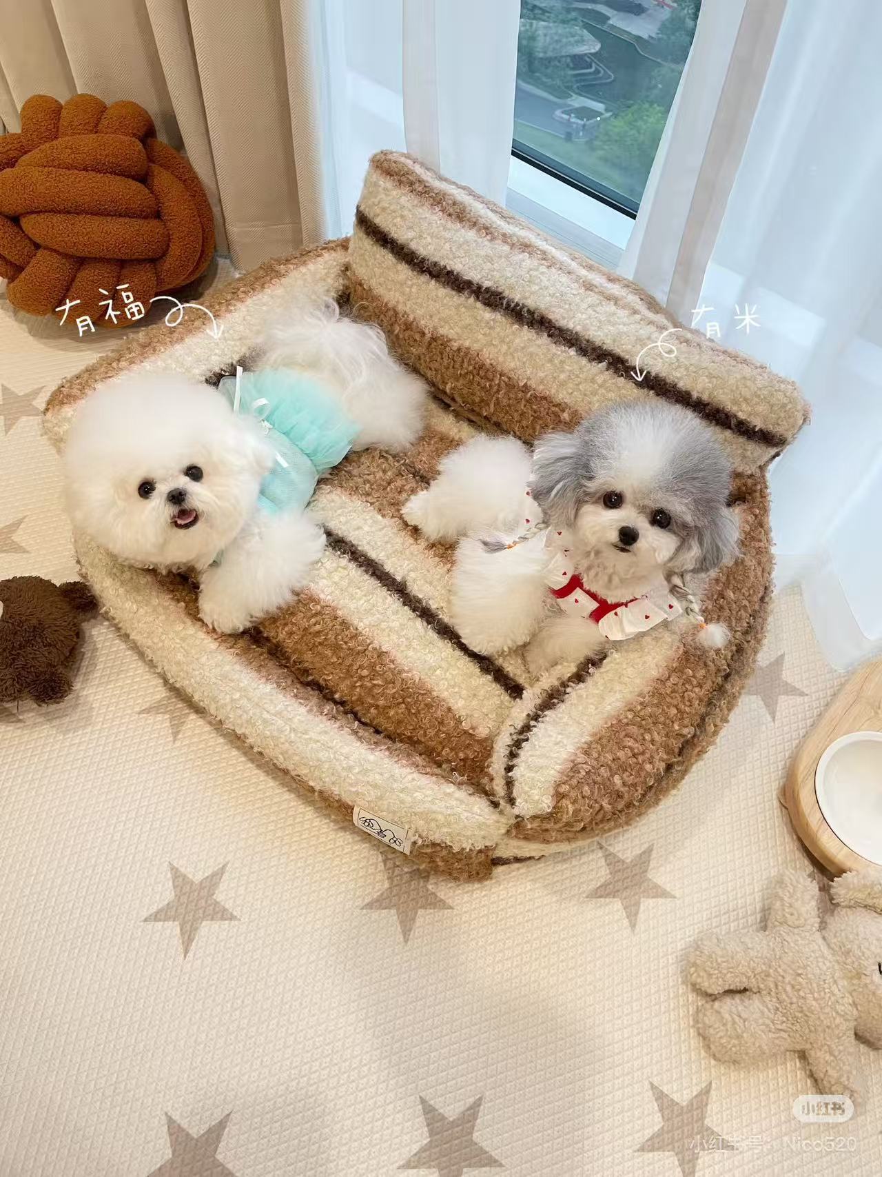 宠物颜值提升术Skill:Beauty care