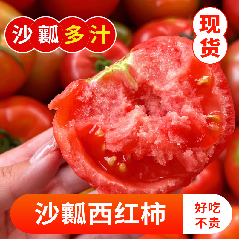 四川攀枝花自然熟番茄露天新鲜采摘农家西红柿产地沙瓤小番茄