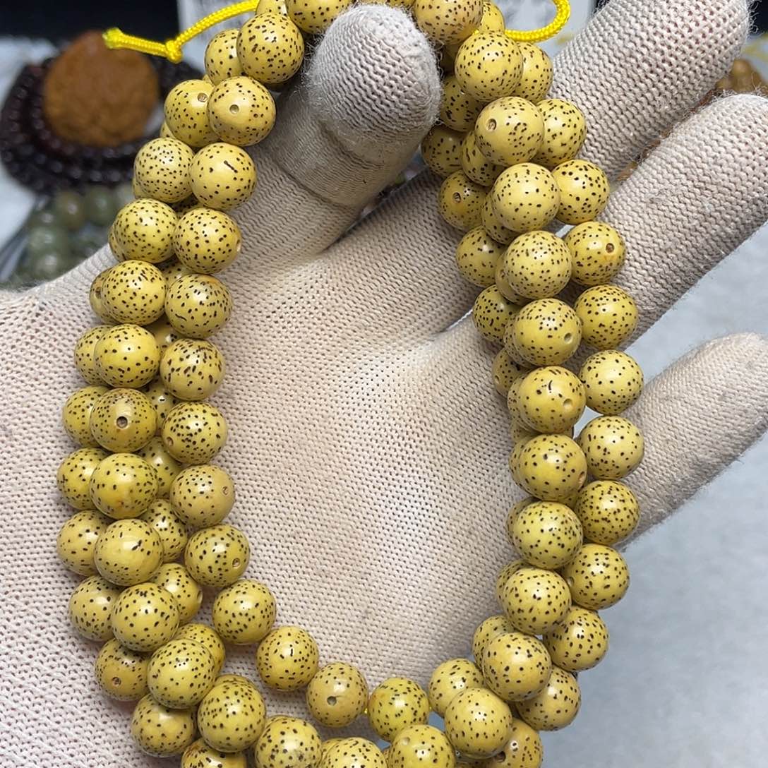 星月菩提吊坠10尺寸，鸡油黄，带备籽