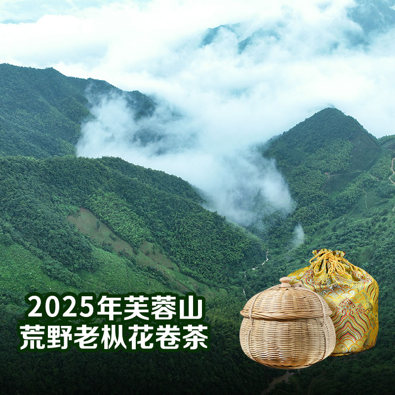 【2025芙蓉山卷】花卷茶480g安化黑茶千两茶小师姐评茶