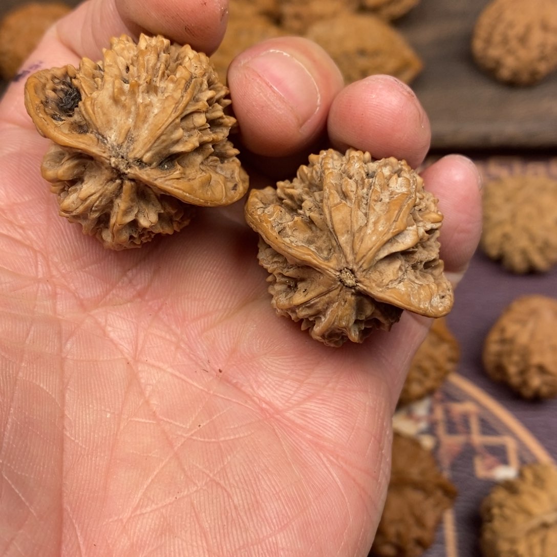 秦岭南北的水乡古