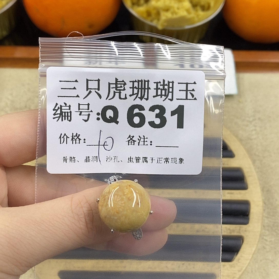 硅化珊瑚（珊瑚玉）1未镶嵌慧****1