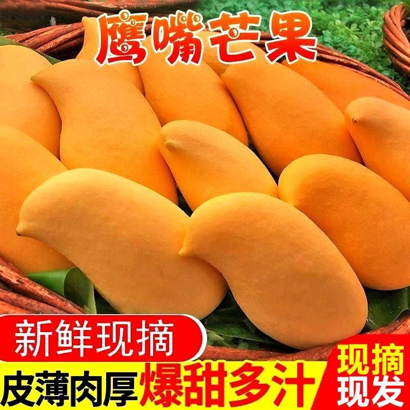 【坏果包赔】正宗云南鹰嘴芒当季新鲜水果黄皮香芒果5斤10斤
