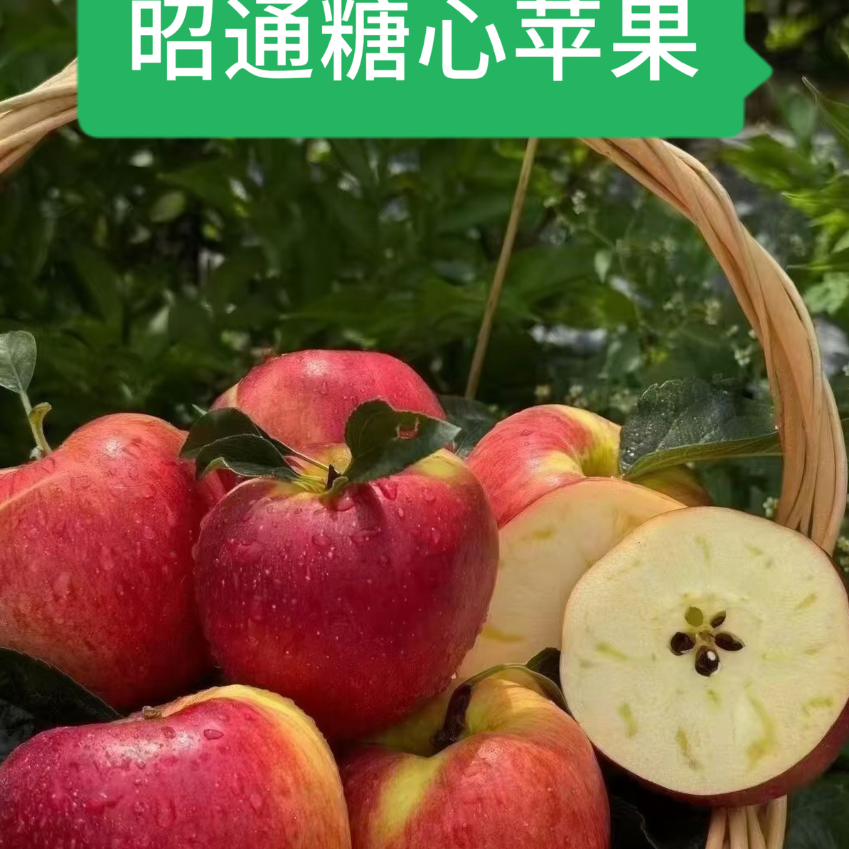 云南昭通红露高原新鲜采摘红露冰糖心丑苹果脆甜好吃