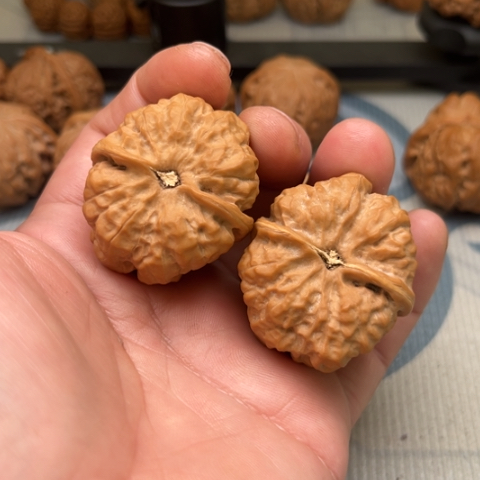 冰***啡吊坠文玩核桃蛤蟆