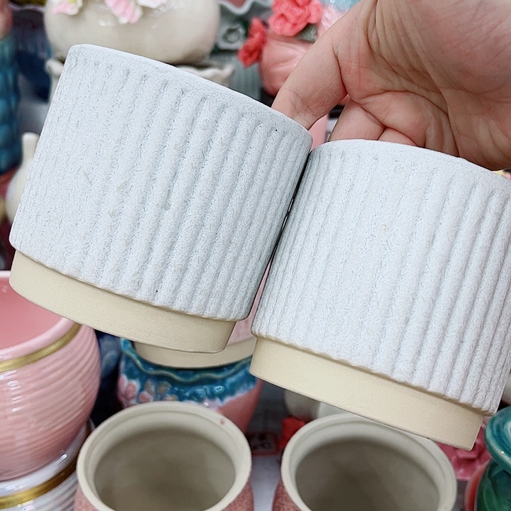 多肉植物陶瓷花盆