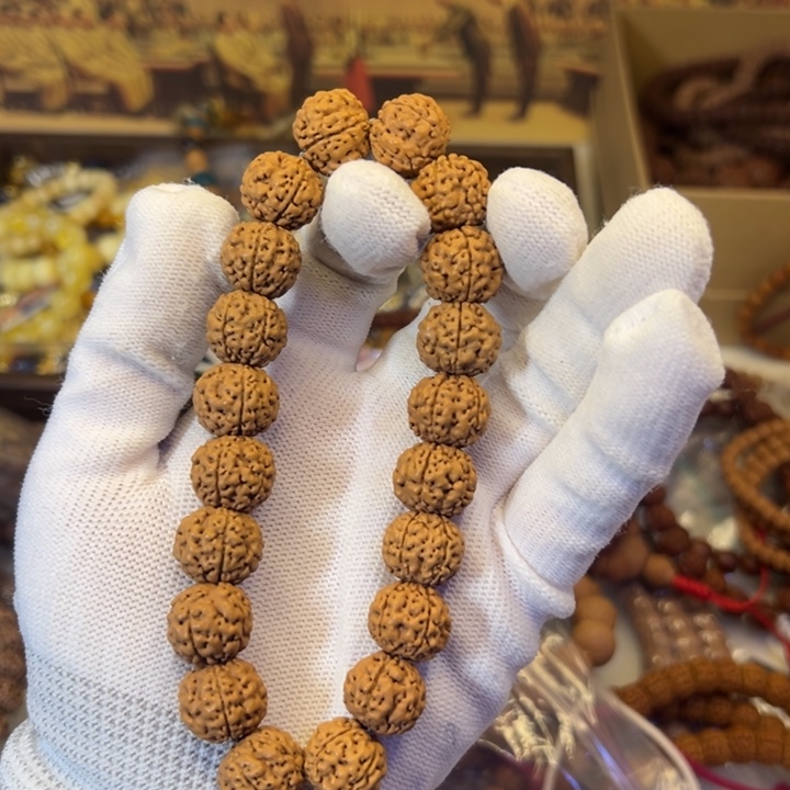 金刚菩提吊坠金刚菩提龙珠一条