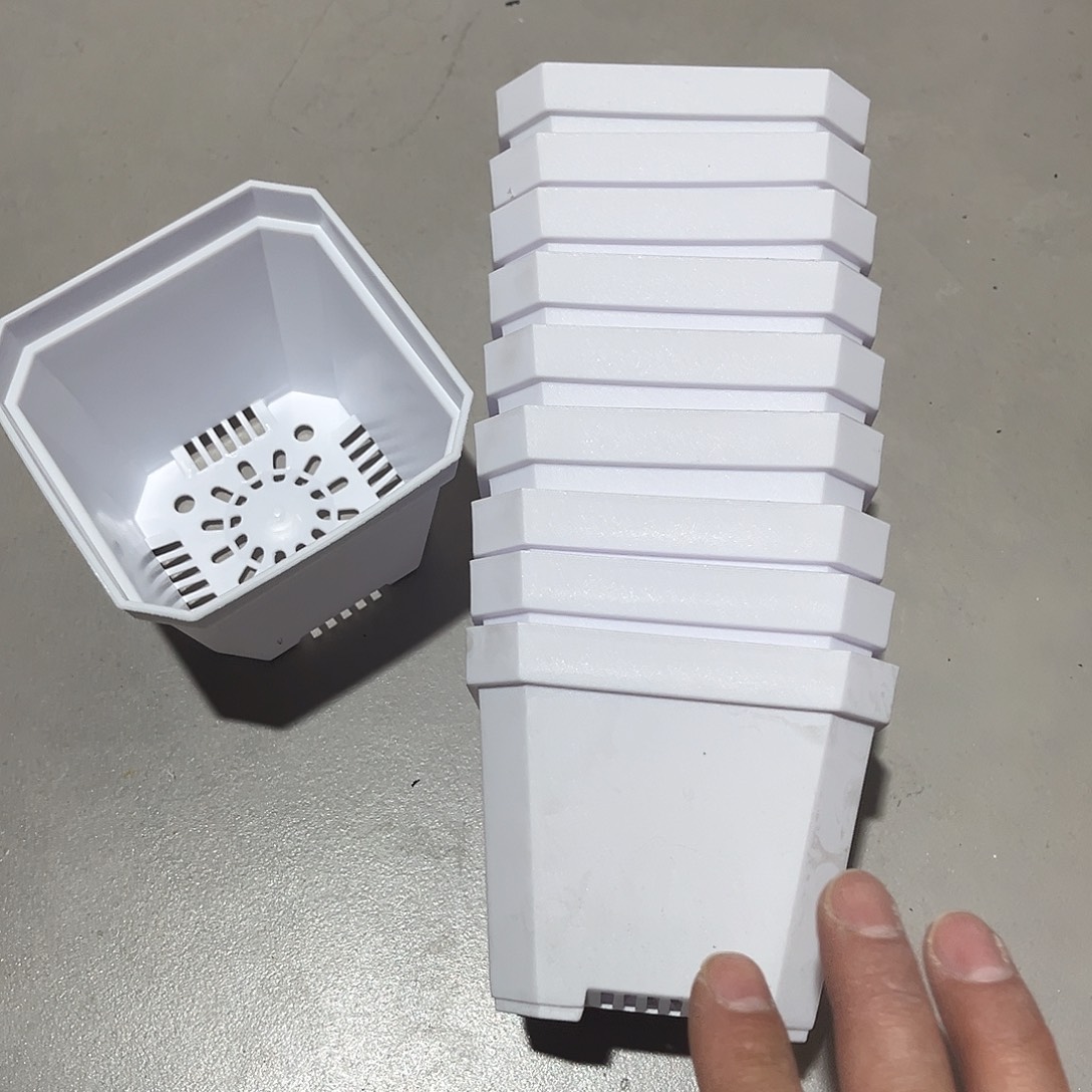 加厚斜角口10高8.5白盆20个无托