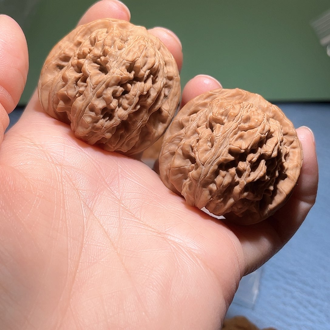 41.5全品四座楼……福利