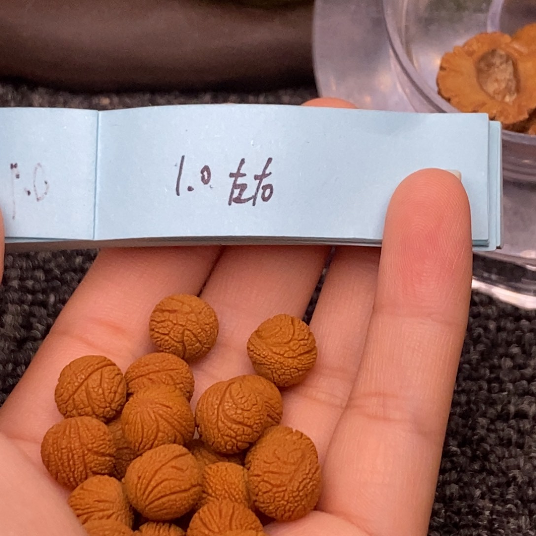 秦岭山脉龙纹桃核单圈21k