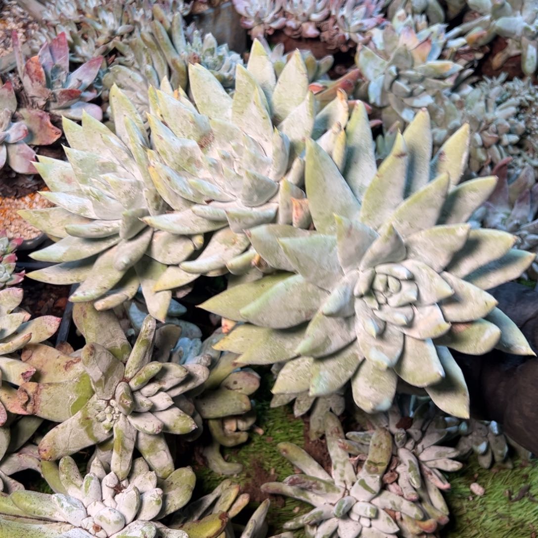 8360哈哈哈哈哈哈哈哈哈