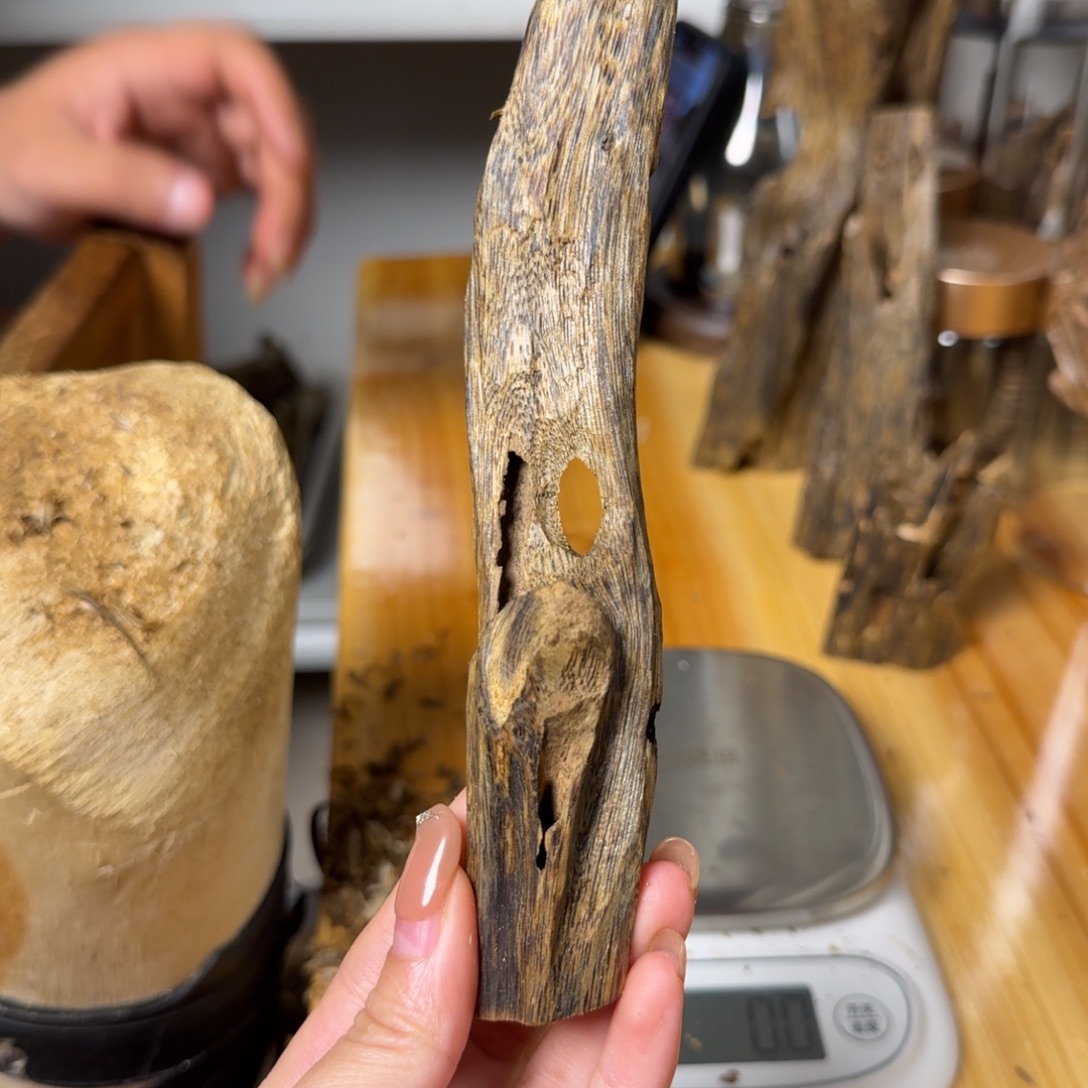 沉香白奇虫漏香17克