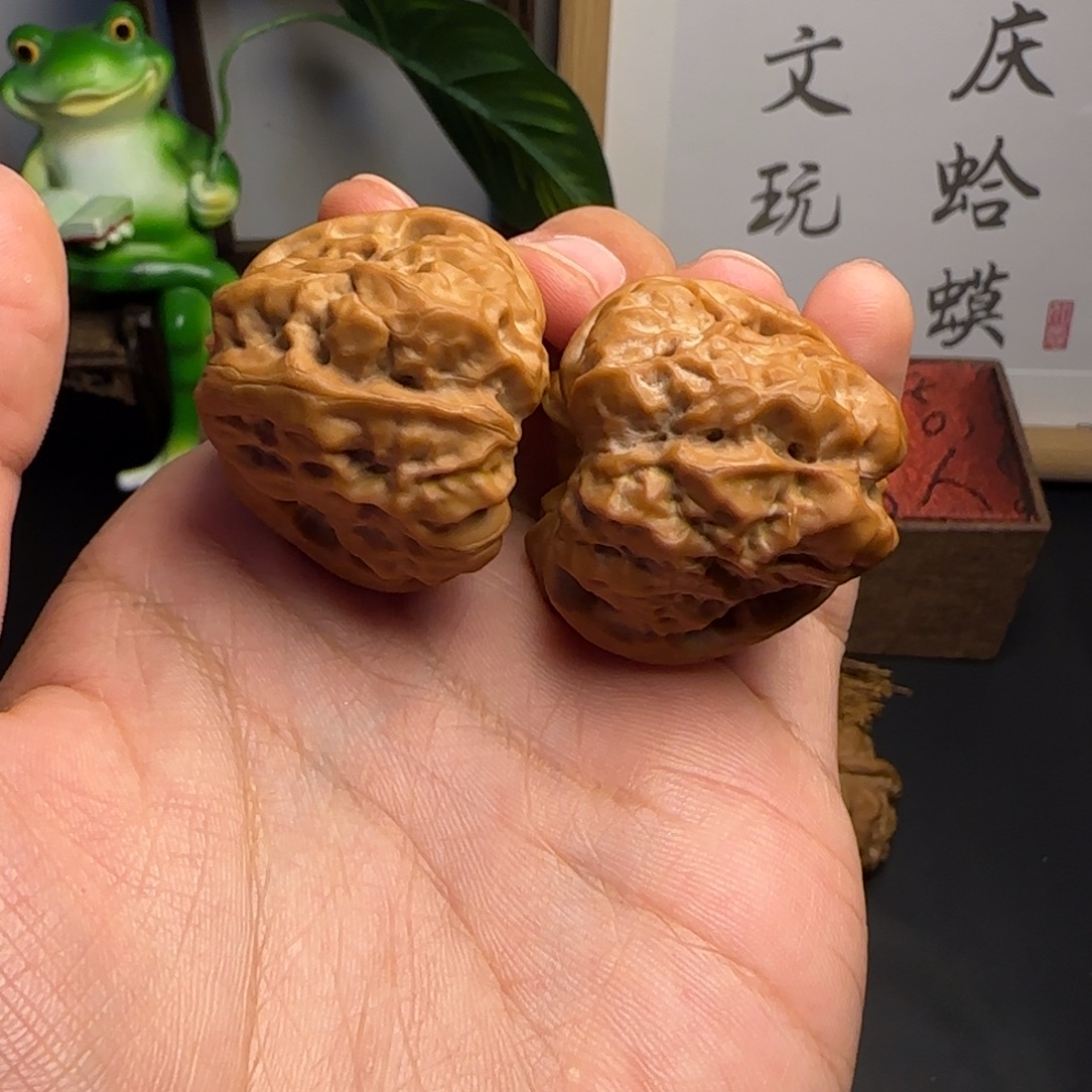 大***熊蛤蟆头38✖️42尺红皮