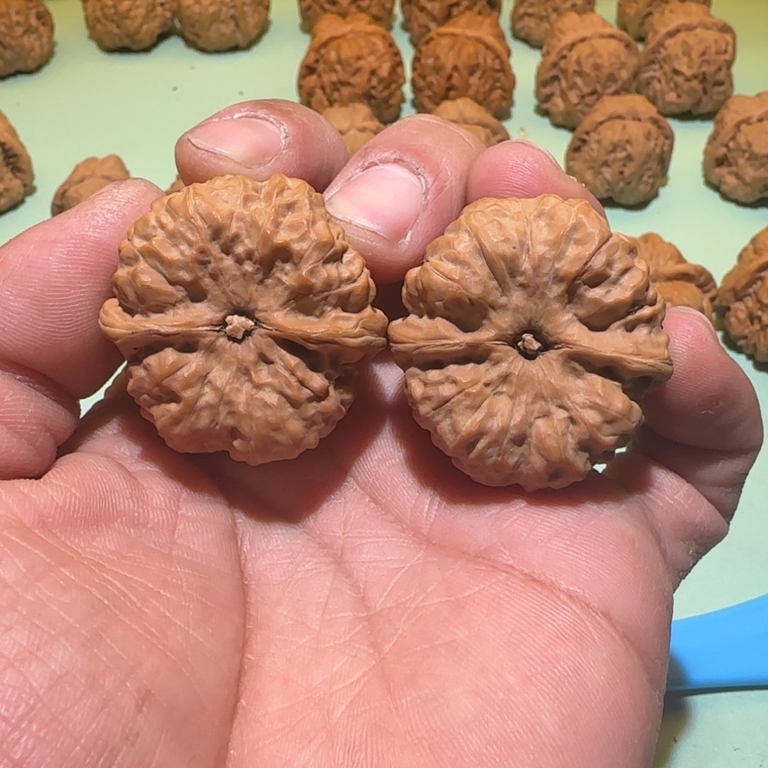 文玩核桃吊坠?****鱼蛤蟆头核桃 36 全品