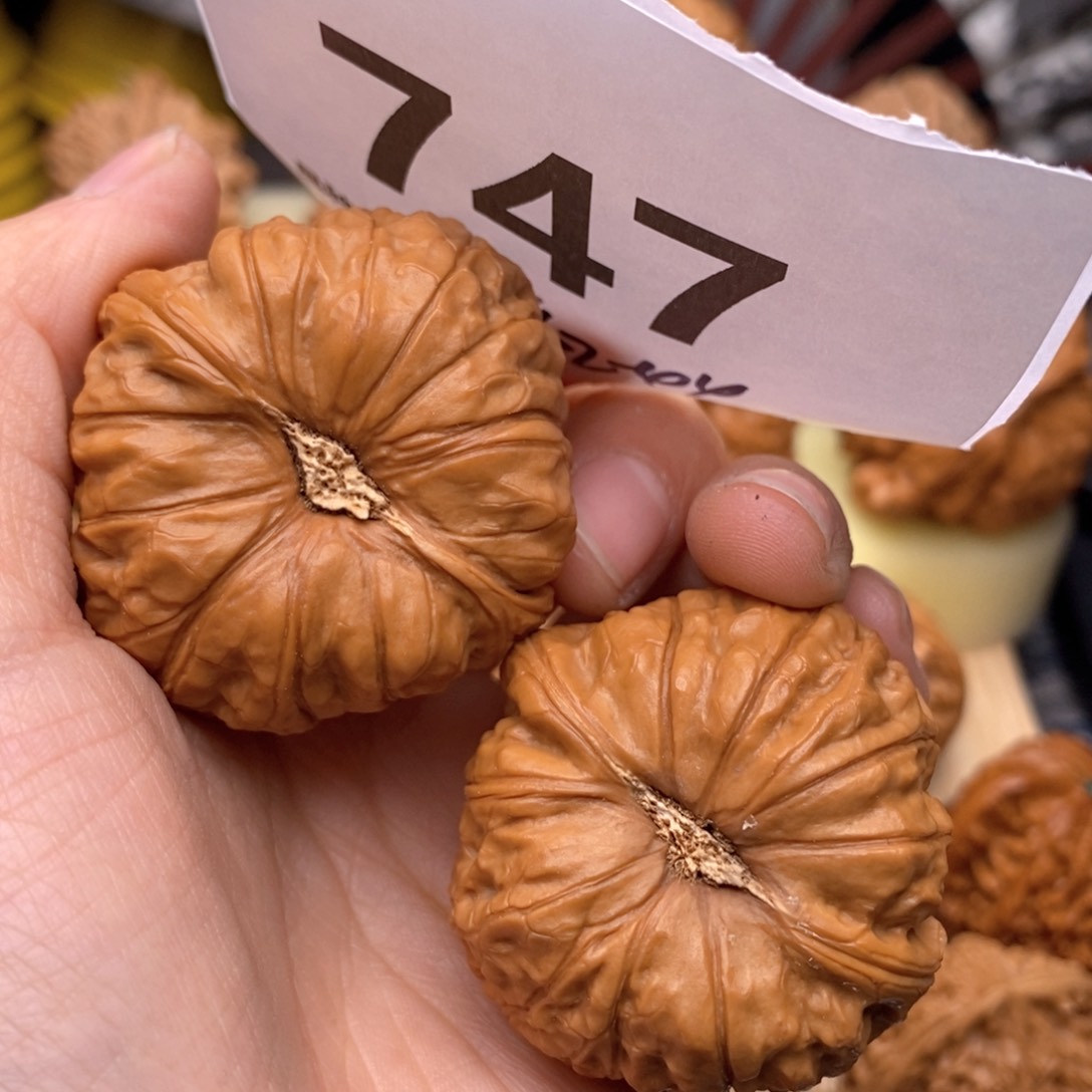 文玩核桃把件747号线42瓜