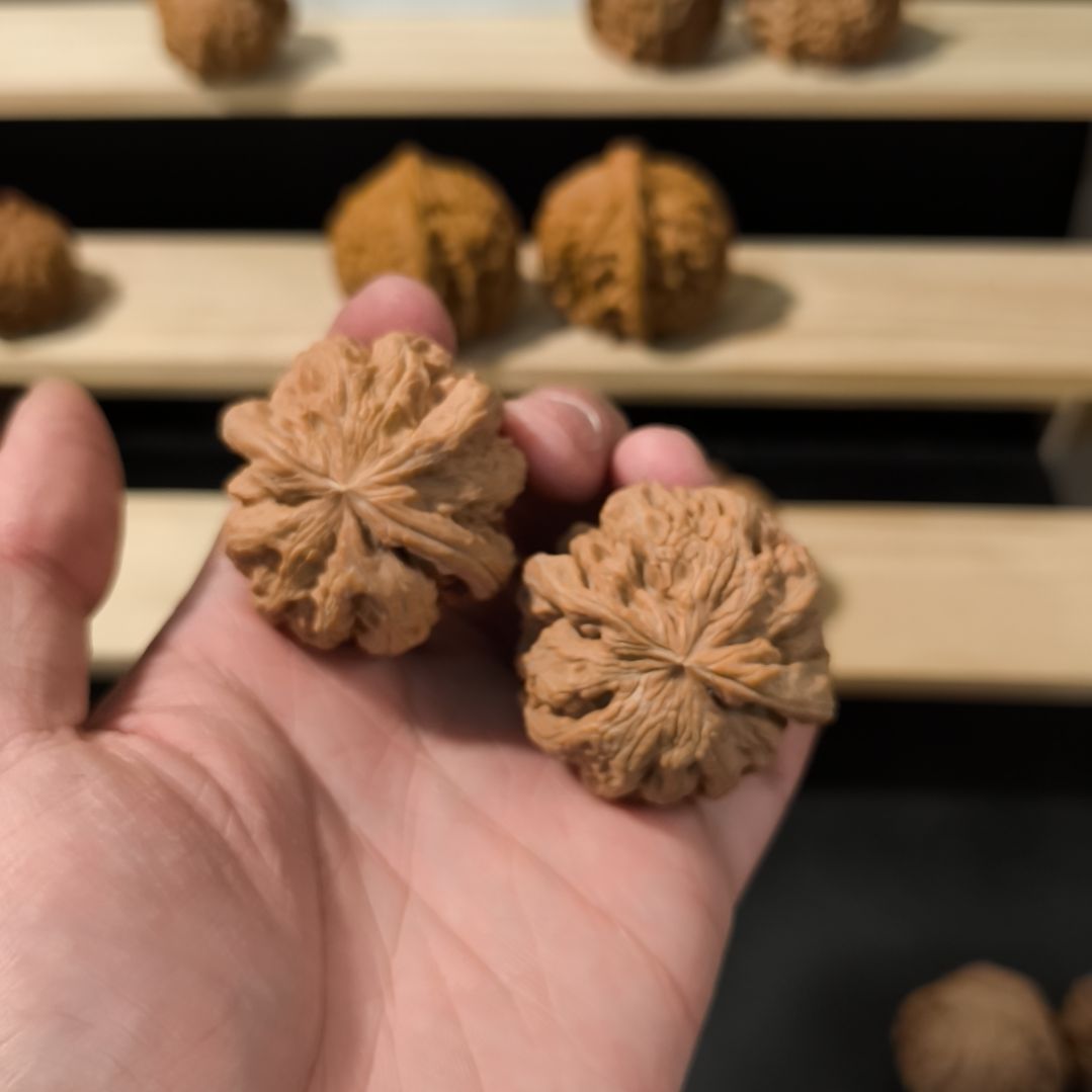 文玩核桃吊坠43+粗筋