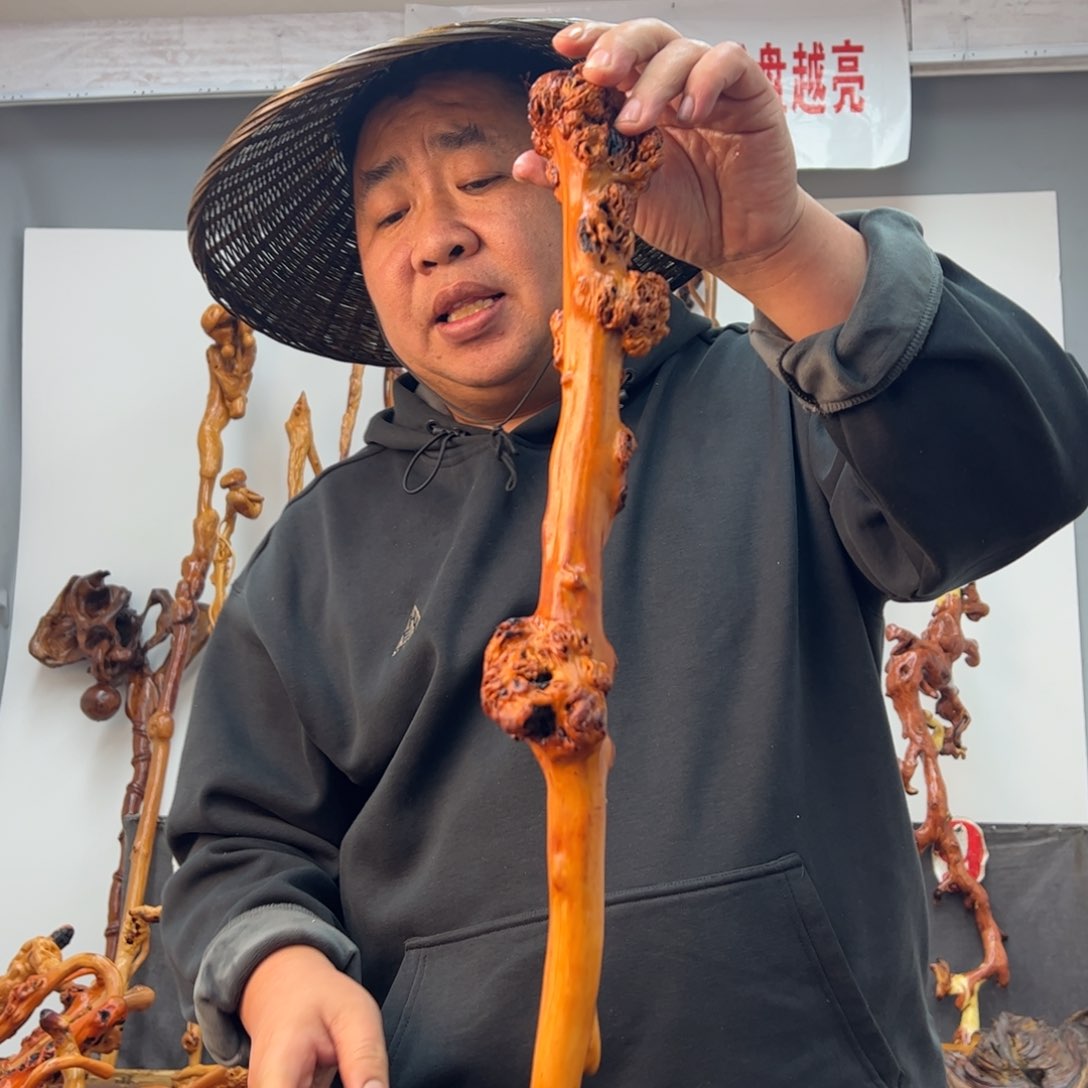 黑果木其他黑果木082