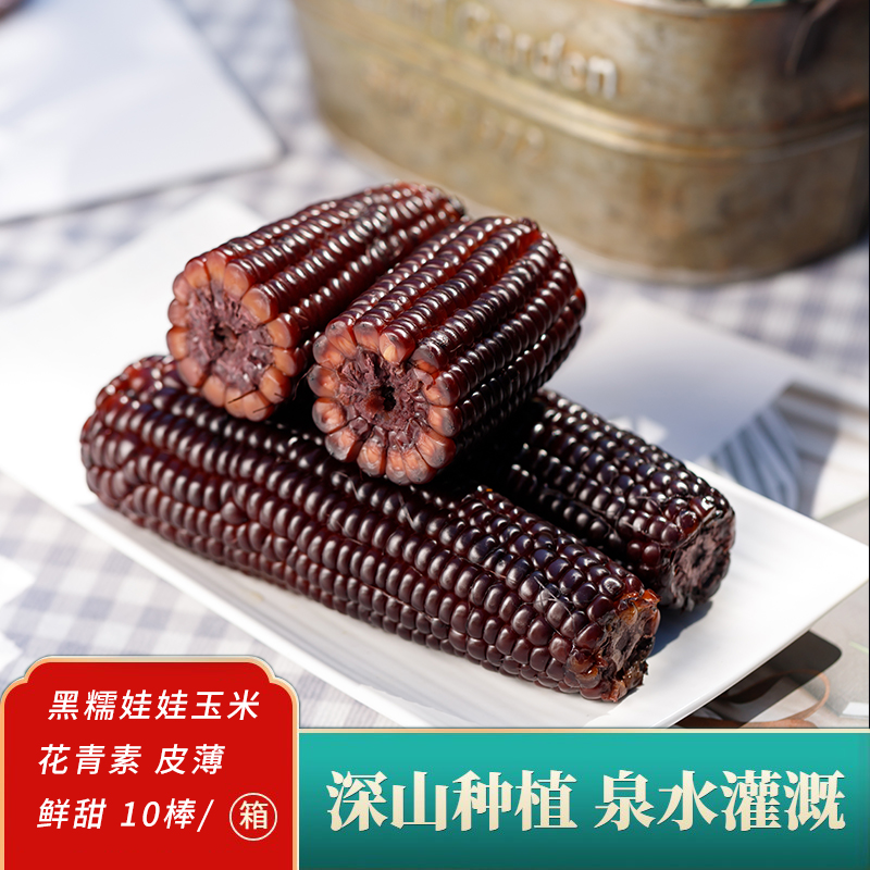 喜乐掰掰黑糯娃娃玉米10棒真空锁鲜高品质花青素东北黑糯玉米