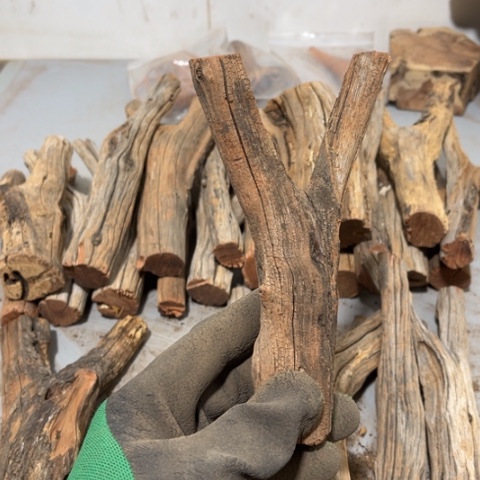 大果紫檀（缅甸花梨）一****龙