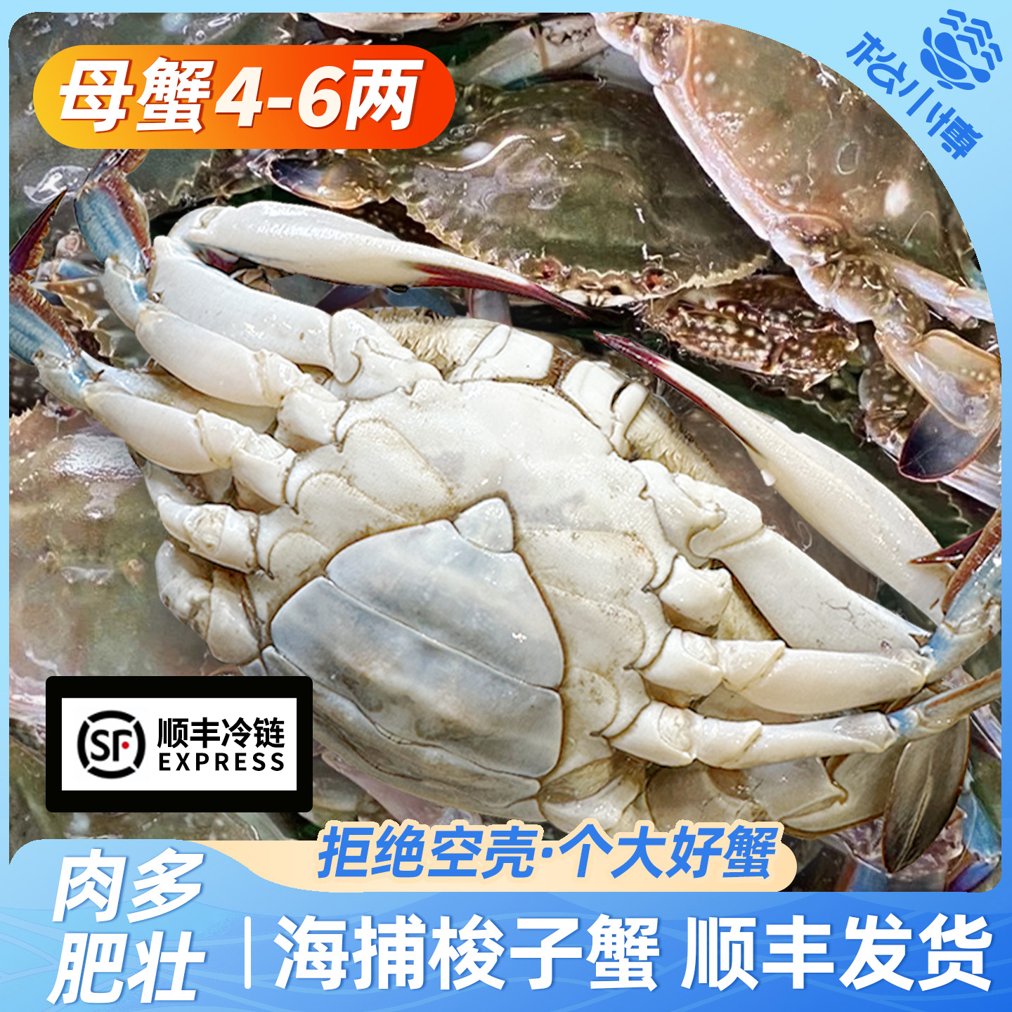 ZB松小博舟山梭子蟹母蟹5两左右/只 6只共3斤左右不可清蒸【冻蟹】