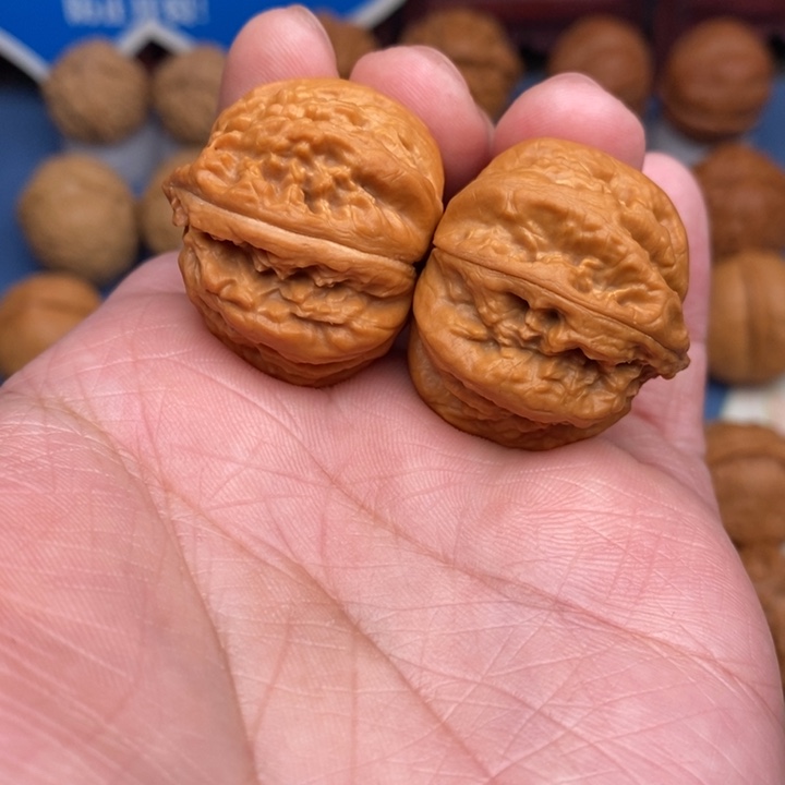 文玩核桃把件小霸王龙