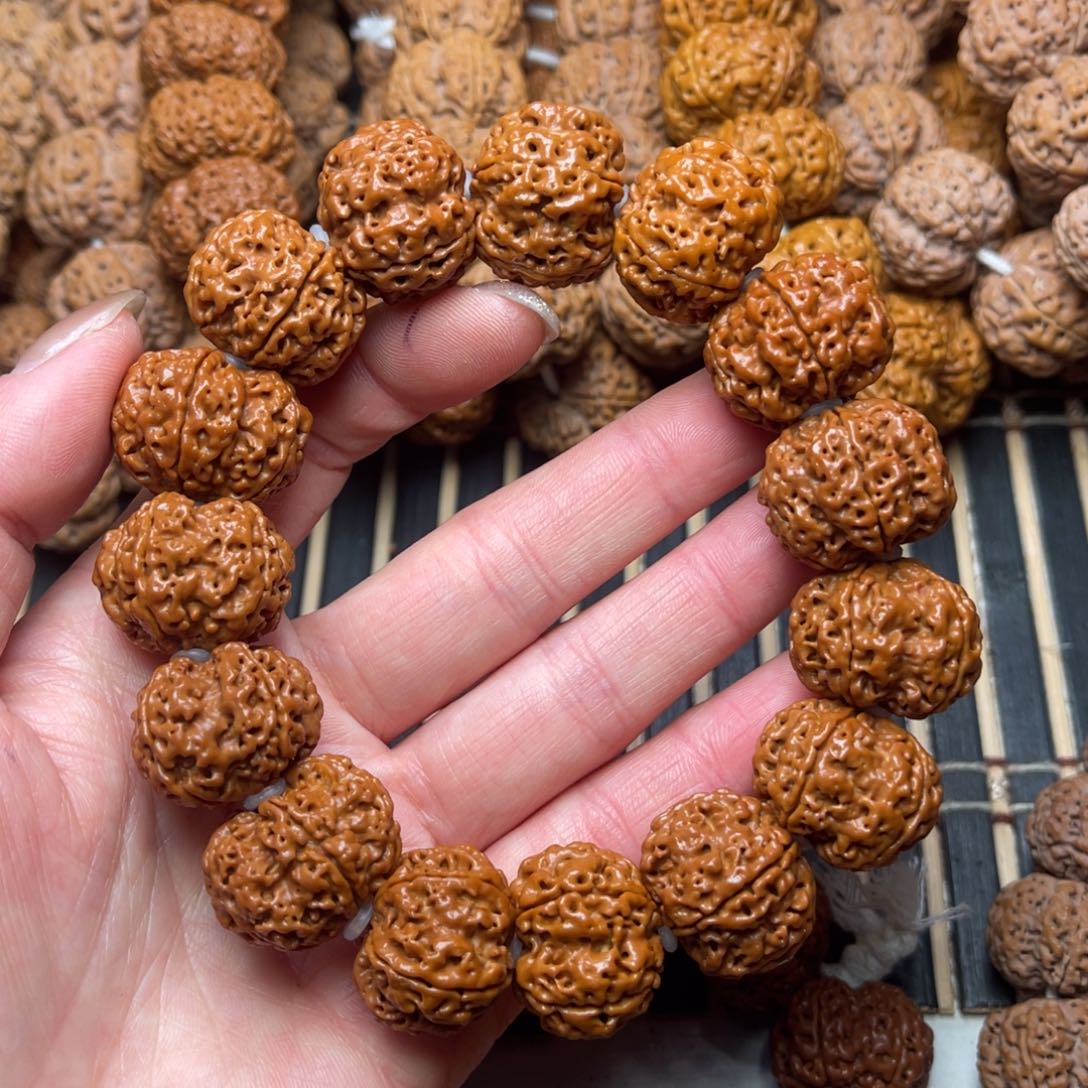 菩提尼泊尔大金刚古龙梅花22