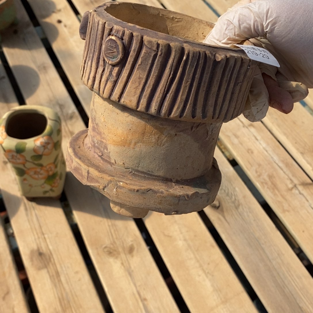 红陶梧*29家多肉盆一个呀