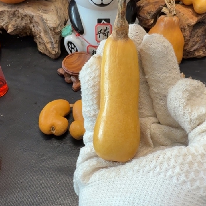 一***布6………………………………………………