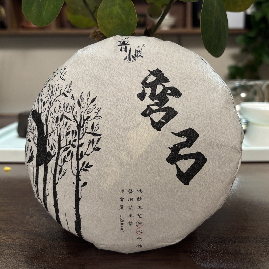 易武弯弓2025年头春薄荷塘边上