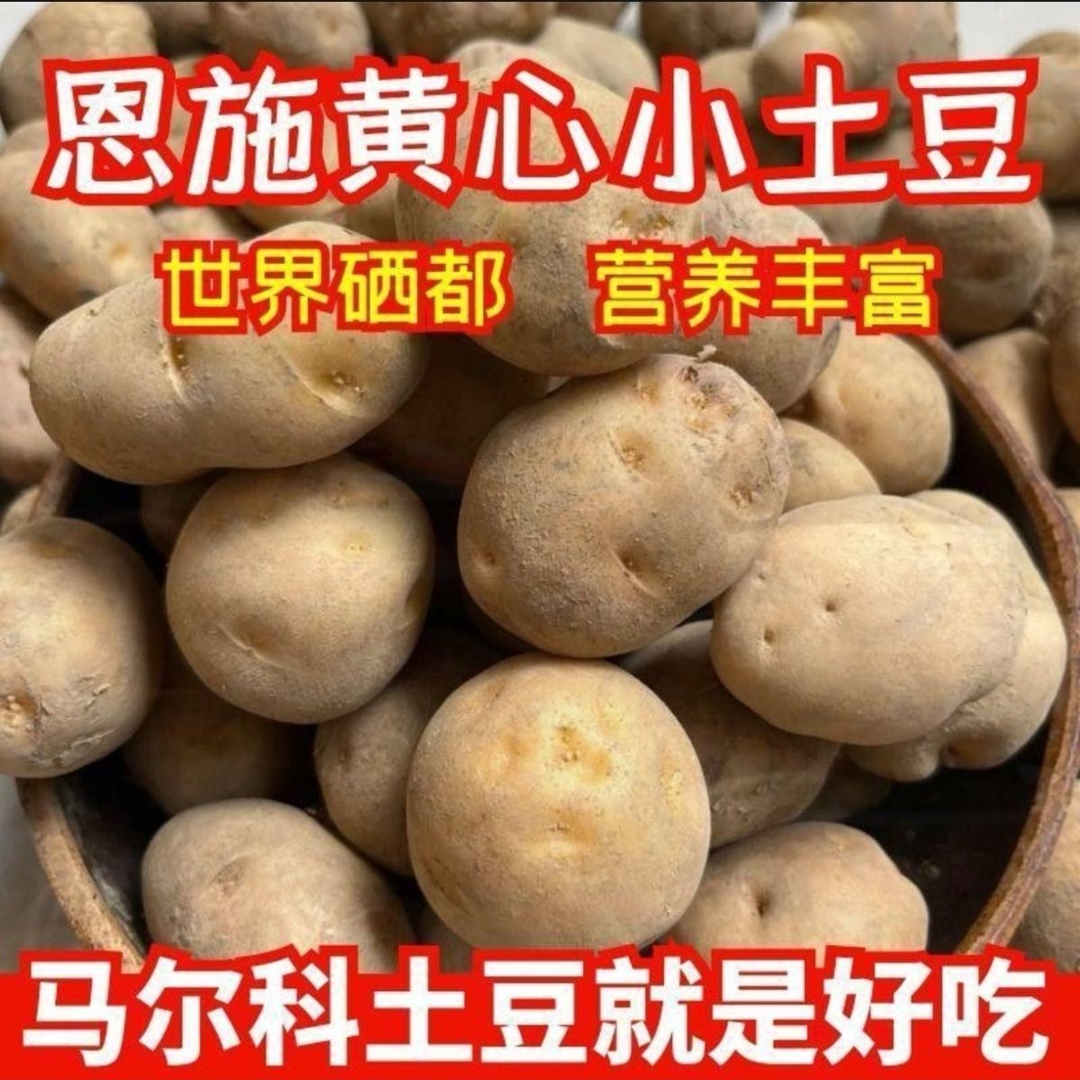 [马尔科]恩施高山老品种黄心土豆软糯农户自种绿蔬迷你洋芋马铃薯