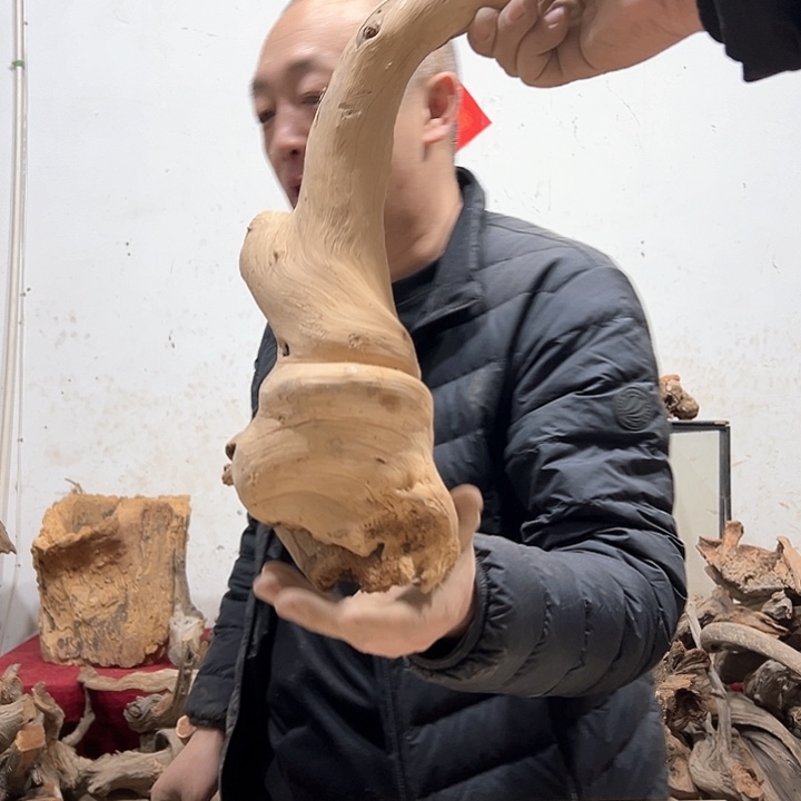 柏木?****芽我们的生活也是