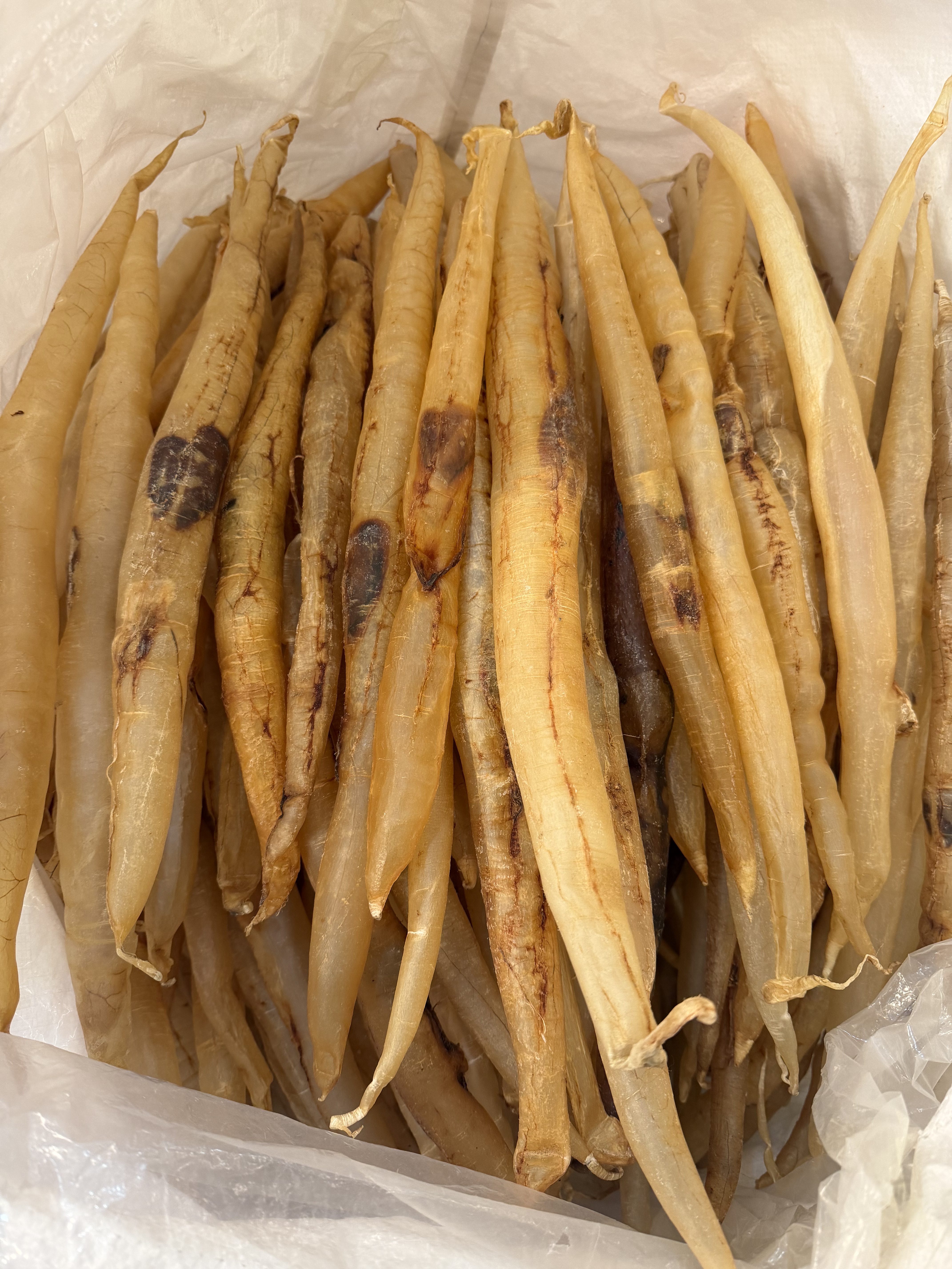 12头本港老鳗鱼胶 野生渔民货 日常滋补胶250克-500克