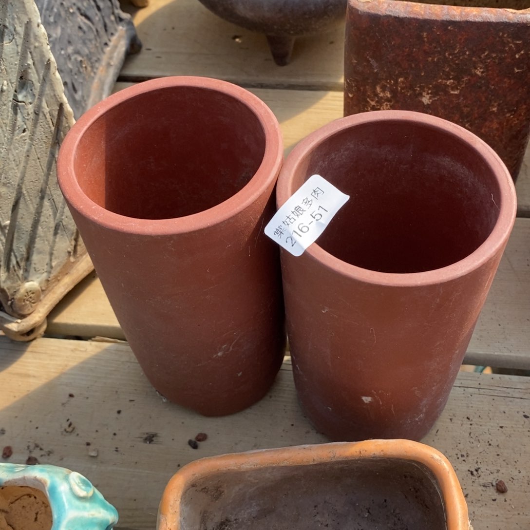 红陶51号多肉盆一个呀