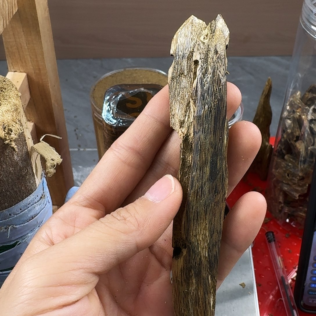 香料绿奇楠虫漏张勺子12克