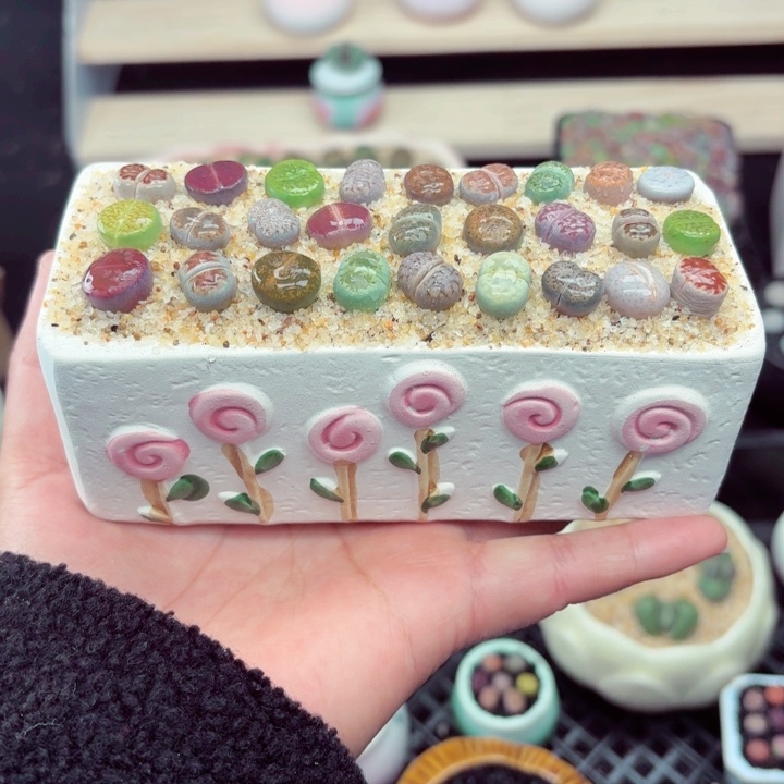 817零下地区记得拍保温箱