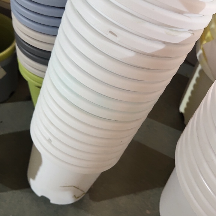 缺口2#口径17白色12个无托611