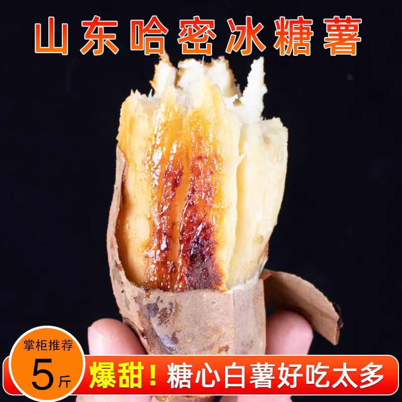 哈密冰糖薯红薯新鲜白心红薯板栗粉糖心香甜番薯哈密冰糖白心蜜薯